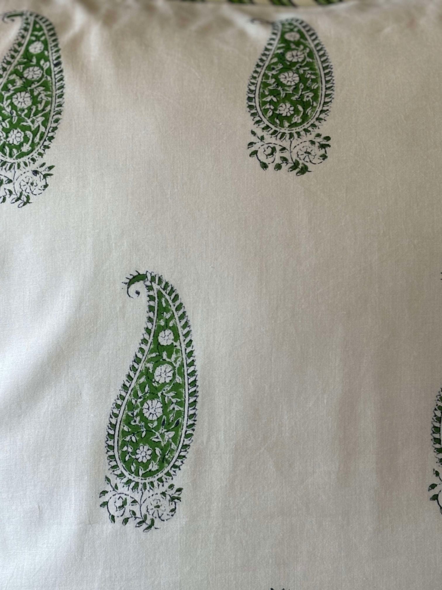 Green paisley european pillow cases